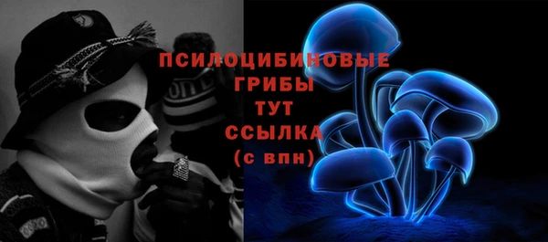mdma Бежецк