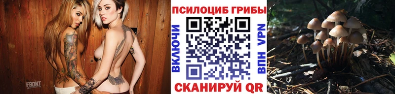 наркота  маркетплейс телеграм  Галлюциногенные грибы прущие грибы  Лесозаводск 