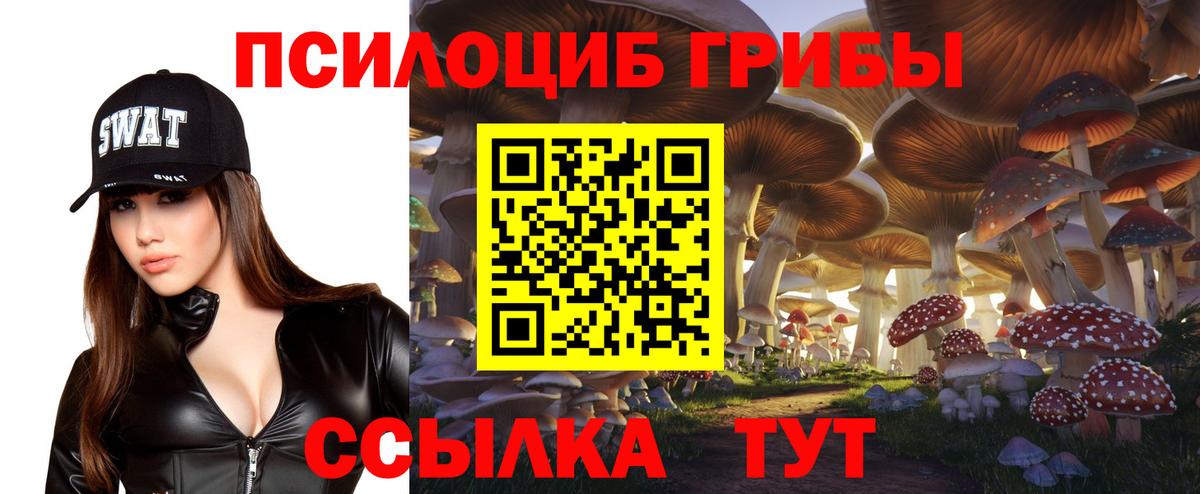 Галлюциногенные грибы мицелий Лесозаводск