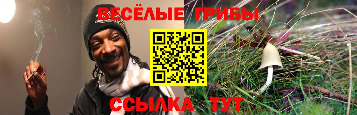 Лесозаводск  Псилоцибиновые грибы Psilocybe  Вход с VPN 